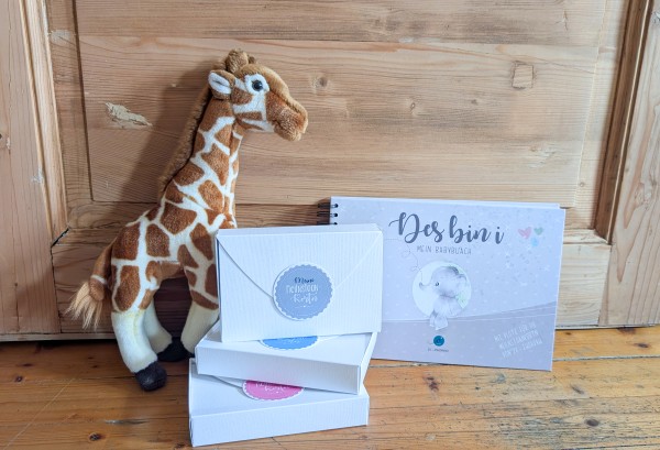 BABYSET (Babybuch+Meilnstoankortn)